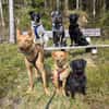 DEBBIE - geb. ca. 11/2023 - Mischling