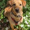 DEBBIE - geb. ca. 11/2023 - Mischling