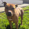 ROSCO