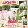 JASMINA, Mix, geb. 01/202