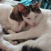 Caspar und Milo /Virneburg(ALO)