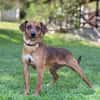 UMA, Mix, geb. 04/2025