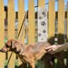 UMA, Mix, geb. 04/2025