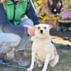 TINKA, Mix, geb. 05/2025