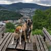 Charmanter Bruno sucht Zuhause