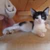 Stripe sucht DICH als Spielpartner!