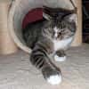 Sid sucht ein liebevolles Zuhause