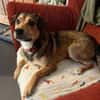 Der kleine Benni sucht Dich!