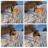 🆘 RUBY in PLZ 91616 sucht ‼🆘‼