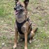 NISHA sucht eine aktive Familie