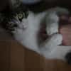 Tiny, lebenslustiger Herzensbrecher, 11M