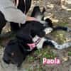 Paola - lernwillig und bewegungsfreudig