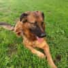 OTTO (Martina)