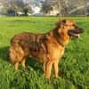OTTO (Martina)