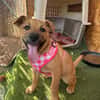 EMME (Martina)