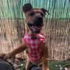 EMME (Martina)