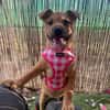 EMME (Martina)