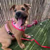 EMME (Martina)