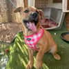EMME (Martina)