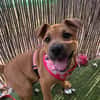 EMME (Martina)