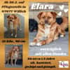 💕Elara 💕 sucht ihre Familie