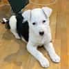 Mable sucht eine Familie
