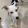 Mable sucht eine Familie