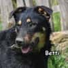 BETTI