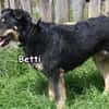 BETTI