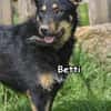 BETTI