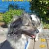 CINTIA  sucht liebevolles Zuhause