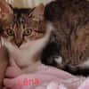 Léna