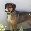 ♥Dave♥ wartet schon in 68809 Neulussheim