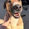 ♥Dave♥ wartet schon in 68809 Neulussheim