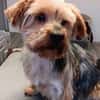 Sahil