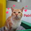 Patrick