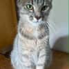Clemence