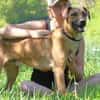 Maddox sucht dich!
