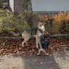 Trusky sucht seinen Menschen