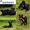KNÖPPI -rundum tolles Hundekind-