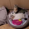 Sue und Tilo suchen zusammen