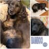 BAMBOO -liebt Kinder-