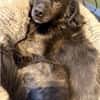 BAMBOO -liebt Kinder-