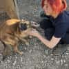 Ruhige SHILA sucht treue Begleiter