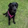 Margot sucht engen Familienanschluss