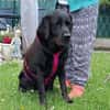 Margot sucht engen Familienanschluss