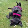 Margot sucht engen Familienanschluss