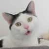 OLIVER