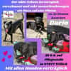 💙Dario💙 sucht seine Familie