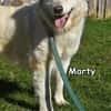 MARTY